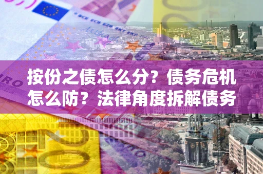 武汉按份之债怎么分？债务危机怎么防？法律角度拆解债务分配与风险自保指南
