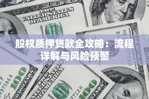 武汉股权质押贷款全攻略：流程详解与风险预警