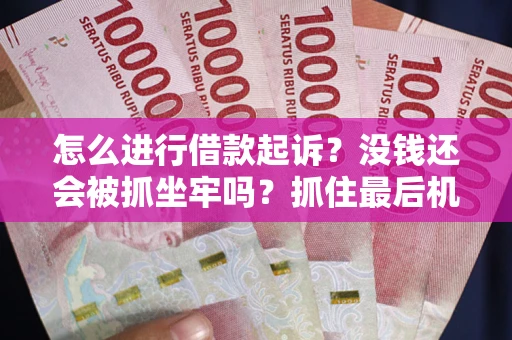 武汉怎么进行借款起诉？没钱还会被抓坐牢吗？抓住最后机会！