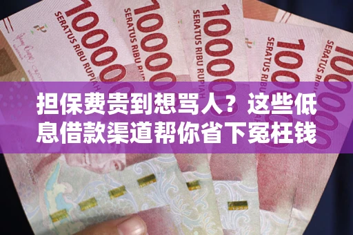 武汉担保费贵到想骂人？这些低息借款渠道帮你省下冤枉钱