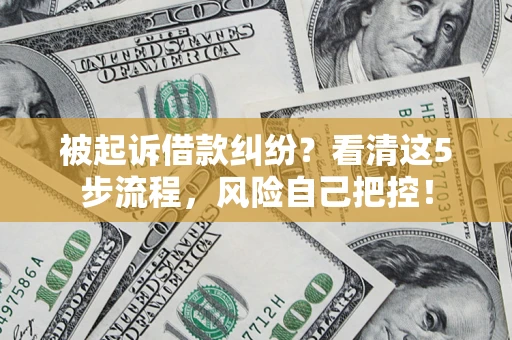 武汉被起诉借款纠纷？看清这5步流程，风险自己把控！
