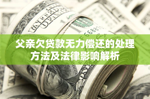 武汉父亲欠贷款无力偿还的处理方法及法律影响解析