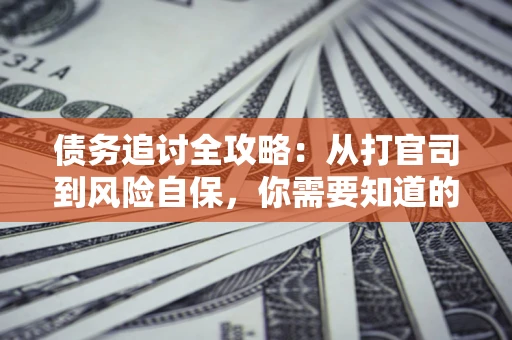 武汉债务追讨全攻略：从打官司到风险自保，你需要知道的法律智慧