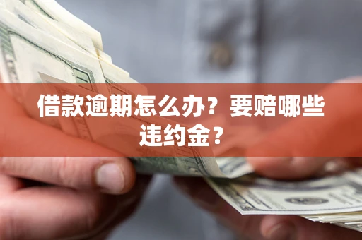 武汉借款逾期怎么办？要赔哪些违约金？