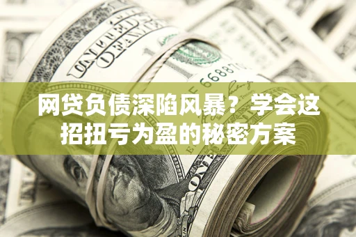 武汉网贷负债深陷风暴？学会这招扭亏为盈的秘密方案